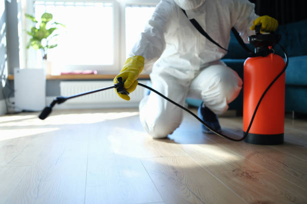 Reliable Sewage Cleanup contractor in Caledonia, MI by Trauma Clean Pros